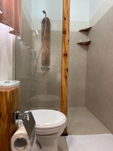 a bathroom with a toilet and a shower at Koçeku Brothers Guest House in Fushë-Lurë