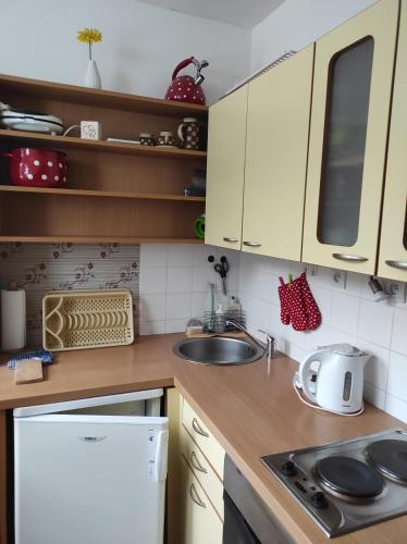 Orbit garsonka podkrovi