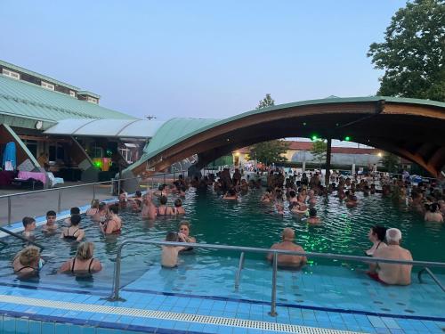 a group of people in a swimming pool at Panoráma Vendégház in Igal