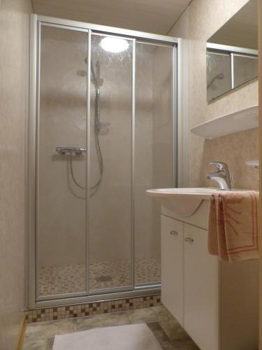 a shower with a glass door in a bathroom at Ferienwohnung Innerlipper in Innervillgraten