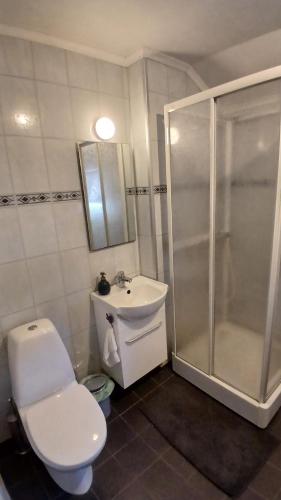 a bathroom with a shower and a toilet and a sink at The house by the waterfall in Breim