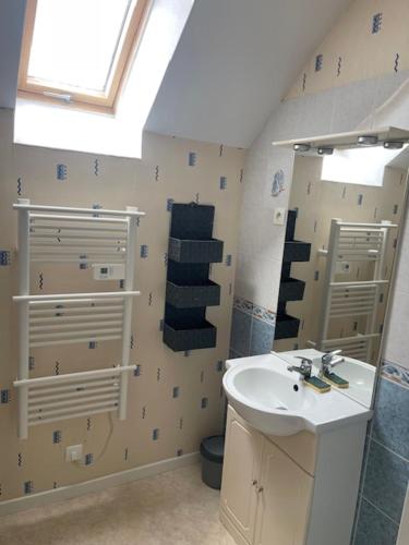 a bathroom with a sink and a mirror at Chat-Douillet in Veuzain-sur-Loire