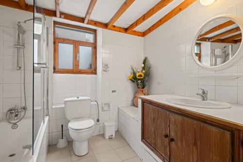 a bathroom with a toilet and a sink and a mirror at Antonys Garden House in Episkopi Limassol