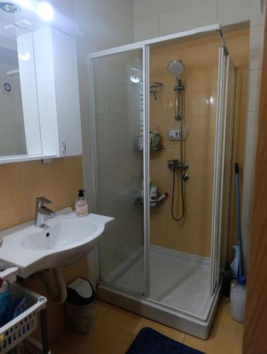a bathroom with a shower and a sink at Ljubica in Brzeće