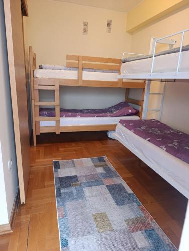 a room with two bunk beds and a rug at Ljubica in Brzeće