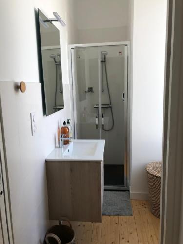 a bathroom with a sink and a shower with a mirror at Villa plaisance in Plomodiern