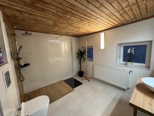 a bathroom with a toilet and a sink at White Pearl Apartment in Murau