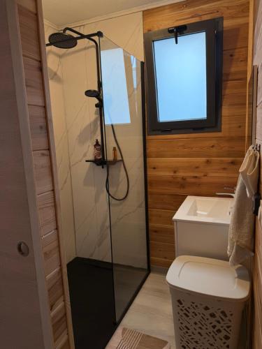 a bathroom with a shower and a toilet and a tv at Le ptit Chalet du bonheur in Entre-Deux