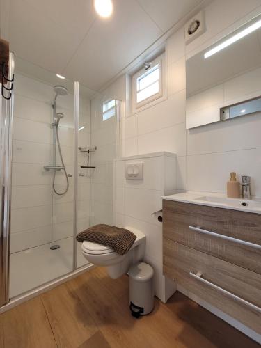 a bathroom with a shower and a toilet and a sink at Vakantiehuis Huisje 31 Zoutelande in Zoutelande