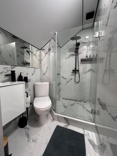a white bathroom with a toilet and a shower at Brick House in Slavske
