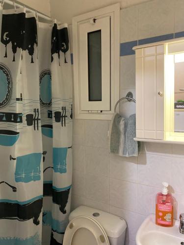 Cosy Central studio with easy parking