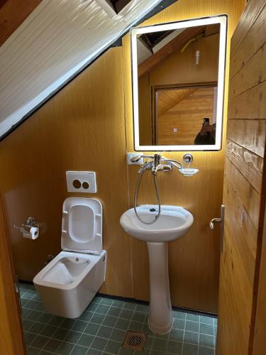 a bathroom with a sink and a toilet and a mirror at Bujtina Alpine Vanat in Bele