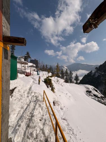 Gallery image of The Wyld - Cabins by Dotlife in Banjār