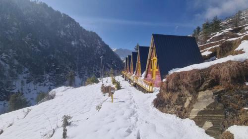 Gallery image of The Wyld - Cabins by Dotlife in Banjār