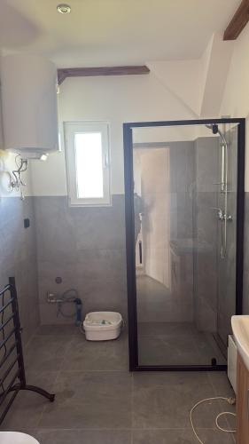 a shower with a glass door in a bathroom at Ranczo pod dębami in Wola Smolana