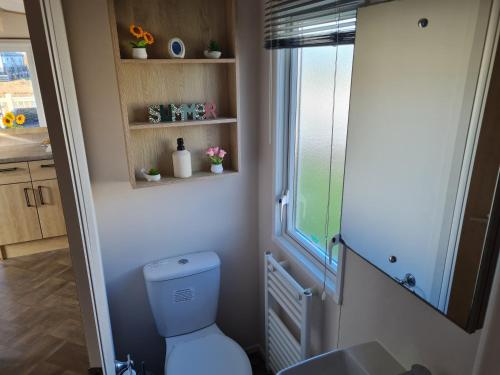 a bathroom with a toilet and a glass shower at Lilly Luxury Hot Tub Caravan - theluxurycaravan - GV109 Grange Leisure Park in Mablethorpe