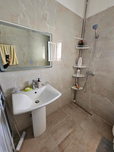 a bathroom with a sink and a mirror and a shower at Petrit apartament in Qeparo