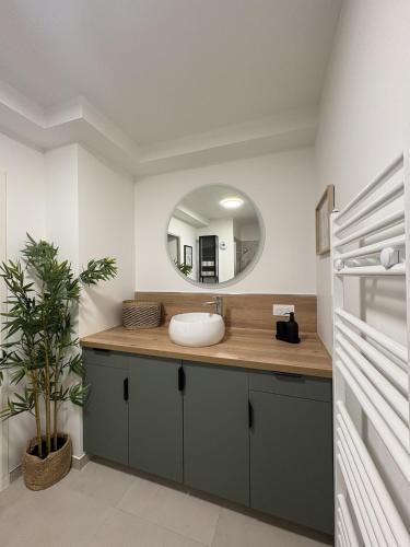 a bathroom with a sink and a mirror at Ecrin de nacre Appartement de Standing in Courseulles-sur-Mer