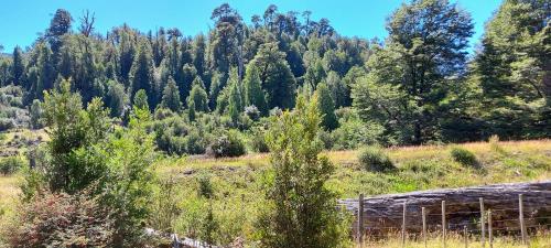 a fence in a field with a forest of trees at Cabañas Entre Mañios y Coigües in Villa Santa Lucía