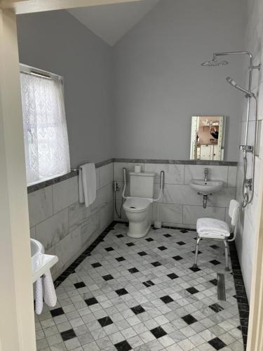 a bathroom with a toilet and a sink and mirror at Deco Artist Cottage in Tytherton Lucas
