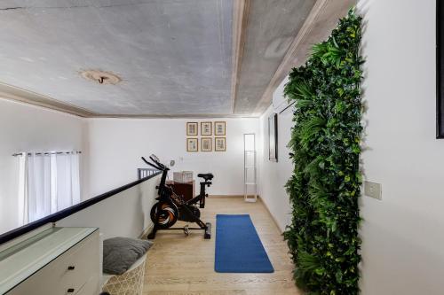 Trevi Fountain Cozy and Fabulous Apartment