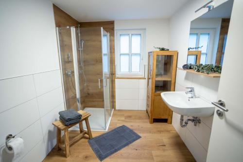 ein Badezimmer mit Waschbecken und Dusche in der Unterkunft Concordia33 - Traumferienwohnung an der Regnitz in Bamberg