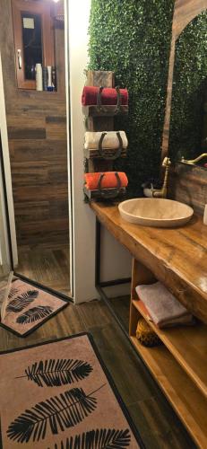 a bathroom with a sink and a counter with towels at Rustic Dreams-Dobolii de Sus in Dobolii de Sus