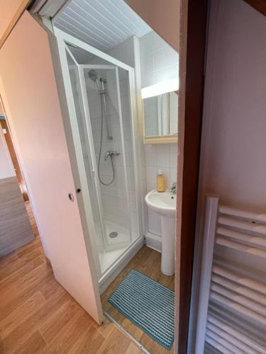 a small bathroom with a shower and a toilet at Le OUESSANTIN in Lampaul