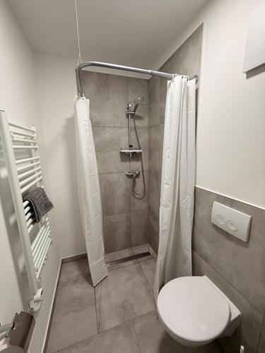 a bathroom with a shower with a toilet and a sink at Tiny Stay Guesthouse - Würzburg in Würzburg