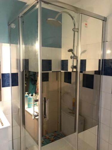 a shower with a glass door in a bathroom at La bellevue in Les Trois-Îlets
