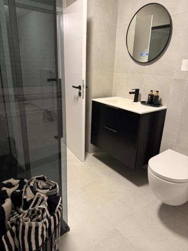 a bathroom with a toilet and a sink and a mirror at Sofia2 in Urschmitt