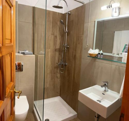 a bathroom with a shower and a sink and a toilet at HOTEL MARI Metsovo in Metsovo