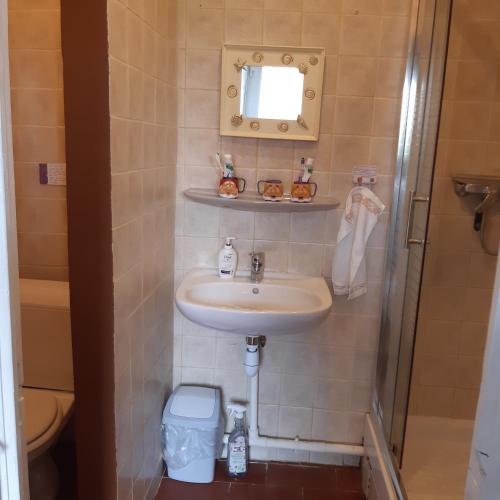 a small bathroom with a sink and a toilet at Ciel Etoillè in Saint-Bonnet-de-Four
