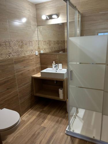 a bathroom with a toilet and a sink and a shower at Apartmány u Pálavy in Přítluky