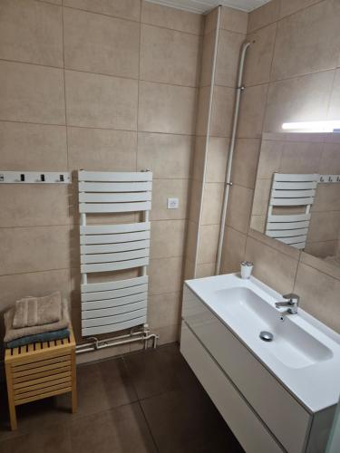 une salle de bains avec un lavabo et un miroir dans l'établissement Colbert 2, à Cambo-les-Bains