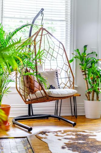 a swinging chair in a room with plants at Jungle House Luxury Stays - Columbus Downtown Short North in Columbus