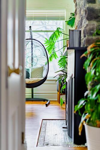 a hallway with a chair in a room with plants at Jungle House Luxury Homes - Columbus Downtown Short North - Steps to Convention Center & Nationwide Arena - Sleeps up to 11 - Free Parking - Over 5,800 Five Stars in Columbus