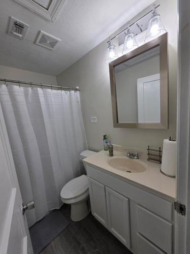 a bathroom with a sink and a toilet and a mirror at Close-to-Everything Midtown Cottage in Hattiesburg