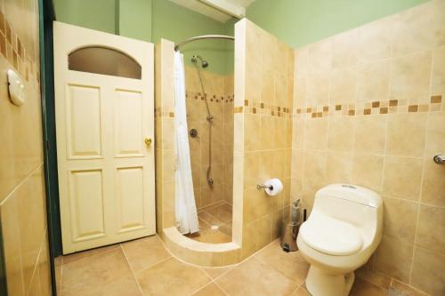 a bathroom with a toilet and a shower at finca la sultana in Salento