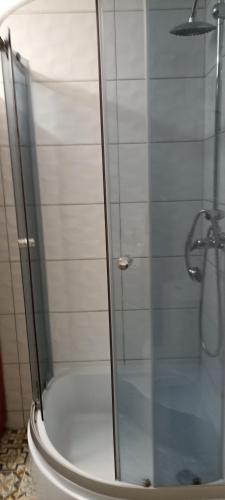 a shower with a glass door in a bathroom at ELEKTRa in Stare Bielice
