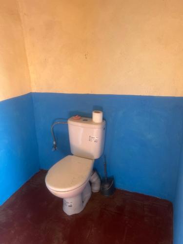 a bathroom with a white toilet in a blue wall at Bivouac Porte du Désert in Mhamid