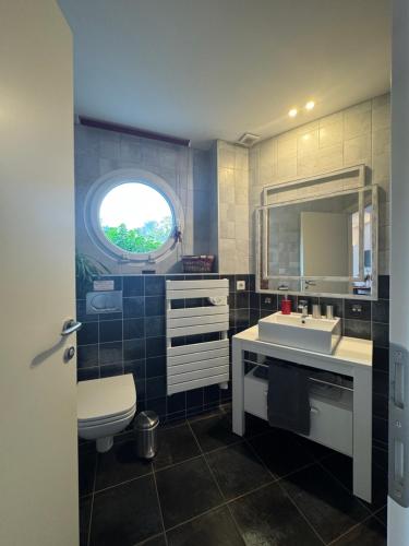 a bathroom with a sink and a toilet and a window at Entre montagnes et lac in Armoy