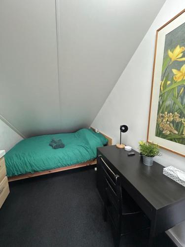 a small room with a bed and a desk at Huisje Vivaldi in Den Bosch
