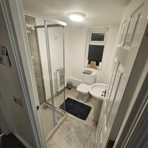 a bathroom with a shower and a toilet at Snug on Eden Derry in Londonderry County Borough