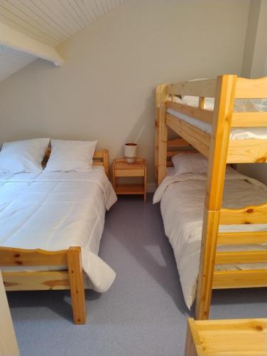 a bedroom with two bunk beds and a ladder at Le Lorry 8 appartement in Laruns