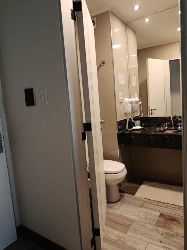 a bathroom with a toilet and a sink and a mirror at Achalay Hotel Boutique Colonia Dora in Colonia Dora