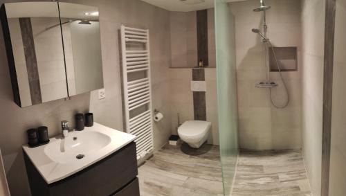 a bathroom with a sink and a toilet and a shower at maison102 studio Saint-Ursanne Jura in Saint-Ursanne
