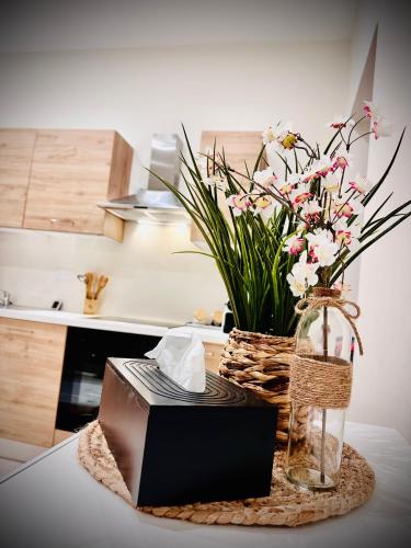 a kitchen counter with a vase of flowers and a television at Apparemment Cosy - Centre Auch in Auch
