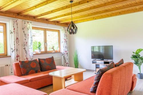 a living room with a couch and a tv at Bergfink in Waltenhofen