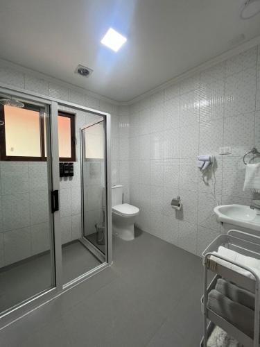 a bathroom with a shower and a toilet and a sink at Hotel Parcela Tierra Fértil in Coltauco